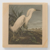 Snowy Heron (Egret) - de Amerikaanse vogelstand va Stenen Onderzetter (Voorkant)