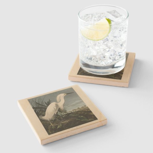 Snowy Heron (Egret) - de Amerikaanse vogelstand va Stenen Onderzetter (Zijkant)