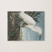 Snowy Heron of White Egret uit vogels in Amerika Legpuzzel (Horizontaal)
