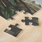 Snowy Heron of White Egret uit vogels in Amerika Legpuzzel (Zijkant)