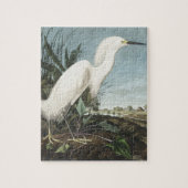 Snowy Heron of White Egret uit vogels in Amerika Legpuzzel (Verticaal)