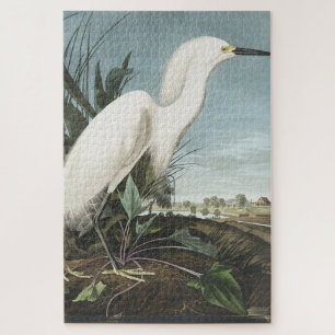 Snowy Heron of White Egret uit vogels in Amerika Legpuzzel
