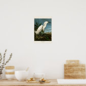 Snowy Heron White Egret Audubon Birds of America Poster (Keuken)