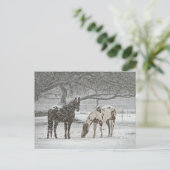 Snowy Horses Briefkaart (Staand voorkant)