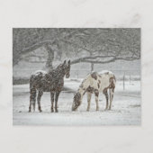 Snowy Horses Briefkaart (Voorkant)