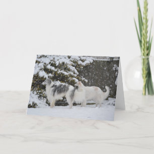 Snowy Hunt Borzoi Fotografie Wenskaart Aankondiging