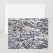 Snowy Ice Branches in Winter Briefkaart (Voorkant / Achterkant)