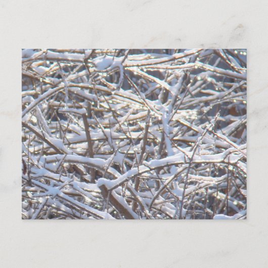 Snowy Ice Branches in Winter Briefkaart (Voorkant)