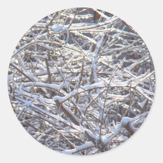 Snowy Ice Branches in Winter Ronde Sticker (Voorkant)
