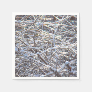 Snowy Ice Branches in Winter Servet