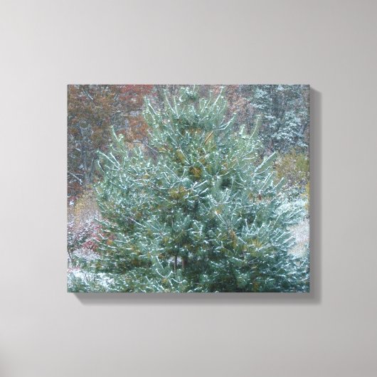 Snowy kerstboom canvas afdruk (Voorkant)