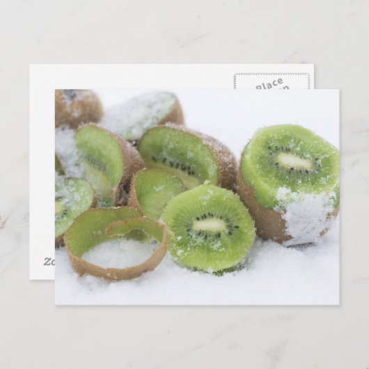 Snowy Kiwi Briefkaart (Voorkant / Achterkant)