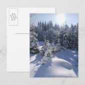 Snowy koud winterlandschap 2 briefkaart (Voorkant / Achterkant)