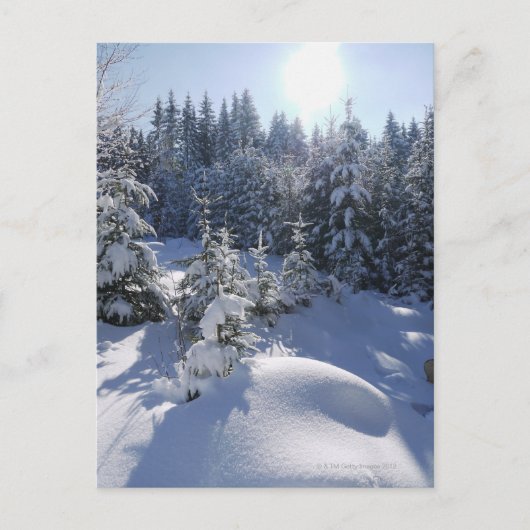 Snowy koud winterlandschap 2 briefkaart (Voorkant)