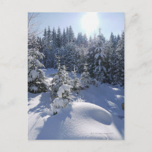 Snowy koud winterlandschap 2 briefkaart