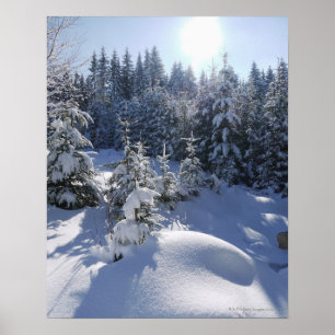 Snowy koud winterlandschap 2 poster