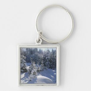 Snowy koud winterlandschap 2 sleutelhanger