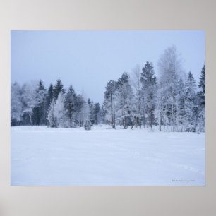 Snowy koud winterlandschap 8 poster