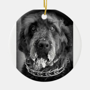 Snowy Labradoodle Keramisch Ornament