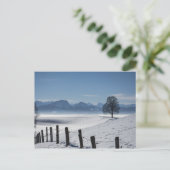 Snowy Landscape Foto Briefkaart (Staand voorkant)