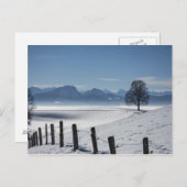 Snowy Landscape Foto Briefkaart (Voorkant / Achterkant)