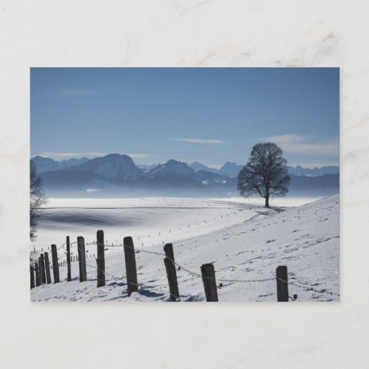 Snowy Landscape Foto Briefkaart (Voorkant)