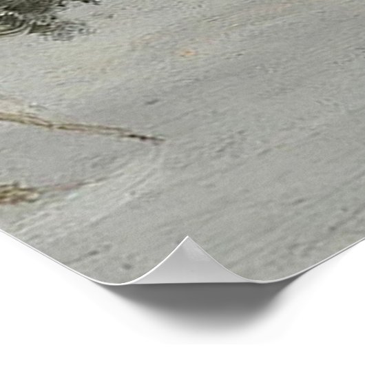 Snowy Landscape Poster (Hoek)