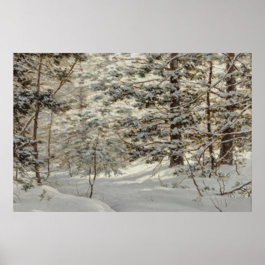 Snowy Landscape Poster (Voorkant)