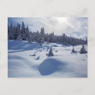 Snowy Landschap Briefkaart