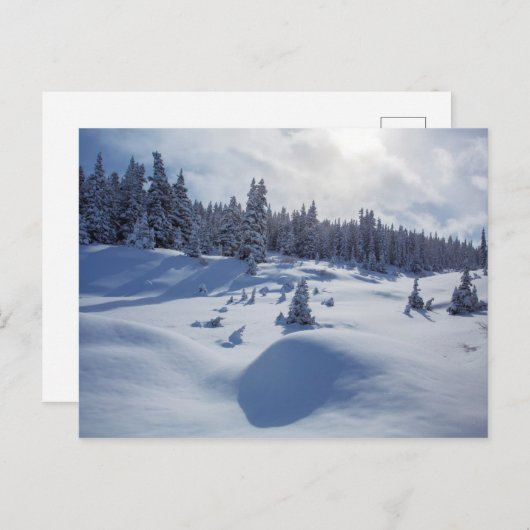 Snowy Landschap Briefkaart (Voorkant / Achterkant)