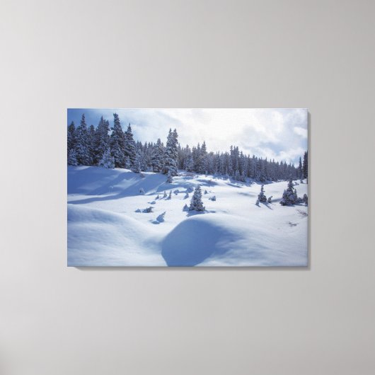 Snowy Landschap Canvas Afdruk (Voorkant)