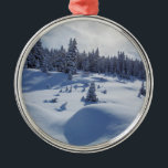 Snowy Landschap Metalen Ornament<br><div class="desc">Deze foto bevat een eenvoudig landschap met diepe sneeuwvlokken,  diepe schaduwen en met sneeuw beladen bomen.</div>