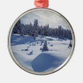 Snowy Landschap Metalen Ornament (Voorkant)