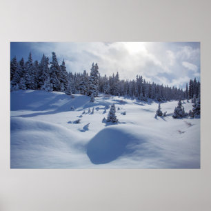 Snowy Landschap Poster