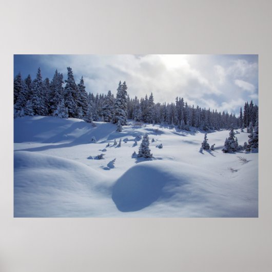 Snowy Landschap Poster (Voorkant)