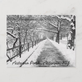 Snowy Lane Astoria, NY Briefkaart
