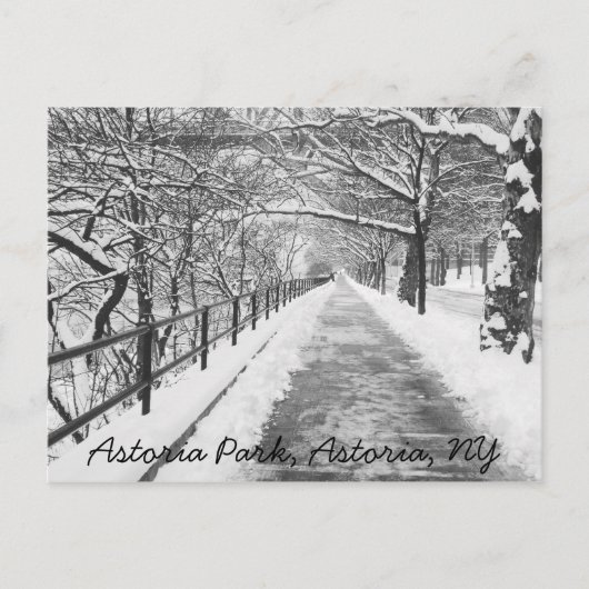 Snowy Lane Astoria, NY Briefkaart (Voorkant)