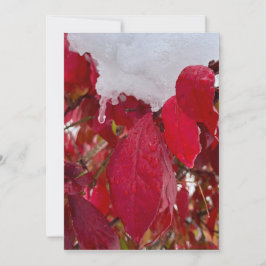 Snowy Leaves Feestdagenkaart