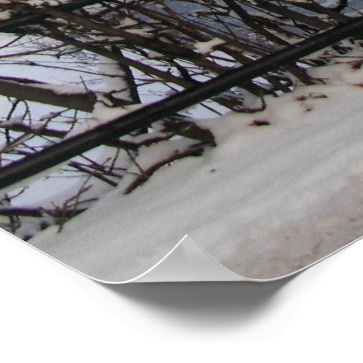 Snowy Light Scene Print (Hoek)