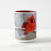Snowy_Male_Cardinal_v1 Mok (Midden)