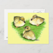 Snowy Mallard Ducklings Briefkaart (Voorkant / Achterkant)