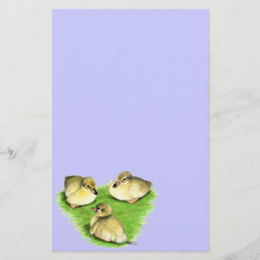 Snowy Mallard Ducklings Briefpapier (Voorkant)