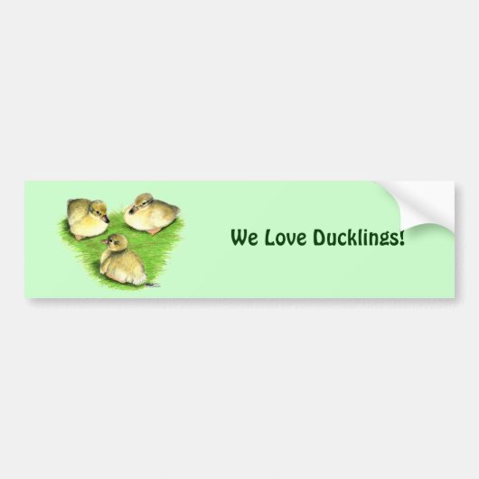 Snowy Mallard Ducklings Bumpersticker (Voorkant)