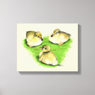 Snowy Mallard Ducklings Canvas Afdruk
