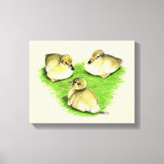 Snowy Mallard Ducklings Canvas Afdruk (Voorkant)