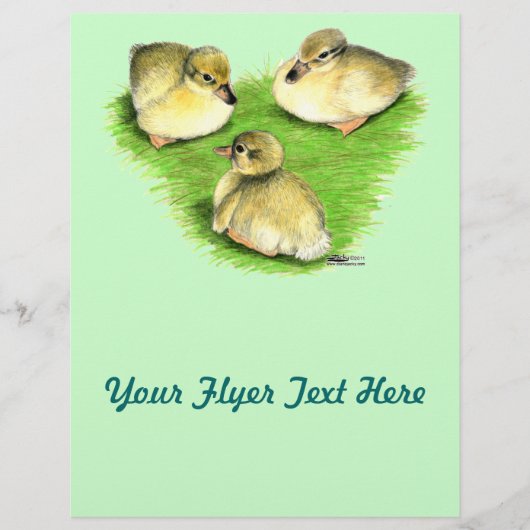 Snowy Mallard Ducklings Flyer (Voorkant)