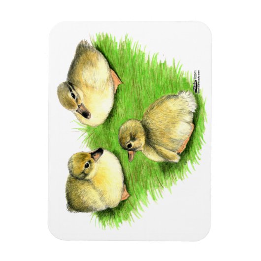 Snowy Mallard Ducklings Magneet (Verticaal)