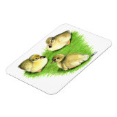 Snowy Mallard Ducklings Magneet (Linkerzijde)