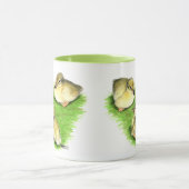 Snowy Mallard Ducklings Mok (Midden)