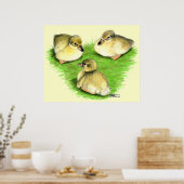 Snowy Mallard Ducklings Poster (Keuken)